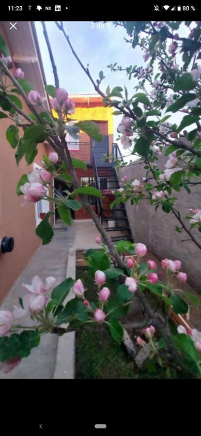 Apartment Alamos *